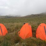 WhatsApp Image 2026-03-24 at 15.35.25y